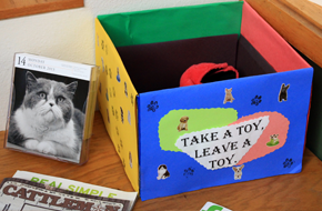 Pet toy box