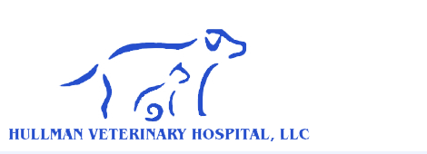 Hullman Veterinary Hospital LLC - logo