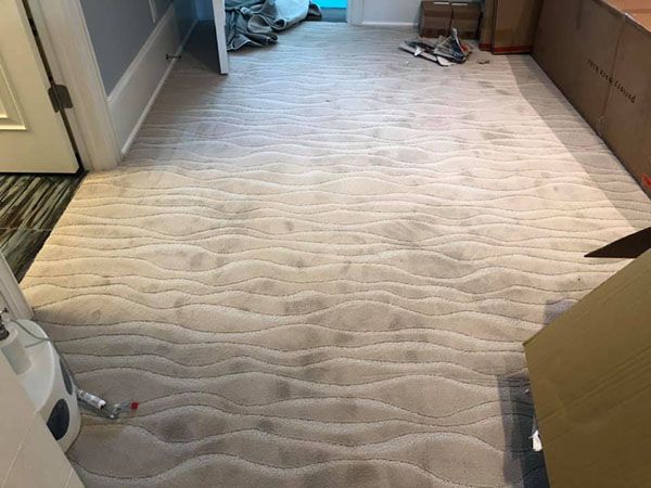 Carpet
