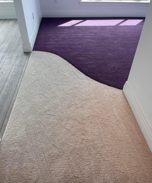 A room with two different colored carpets on the floor.