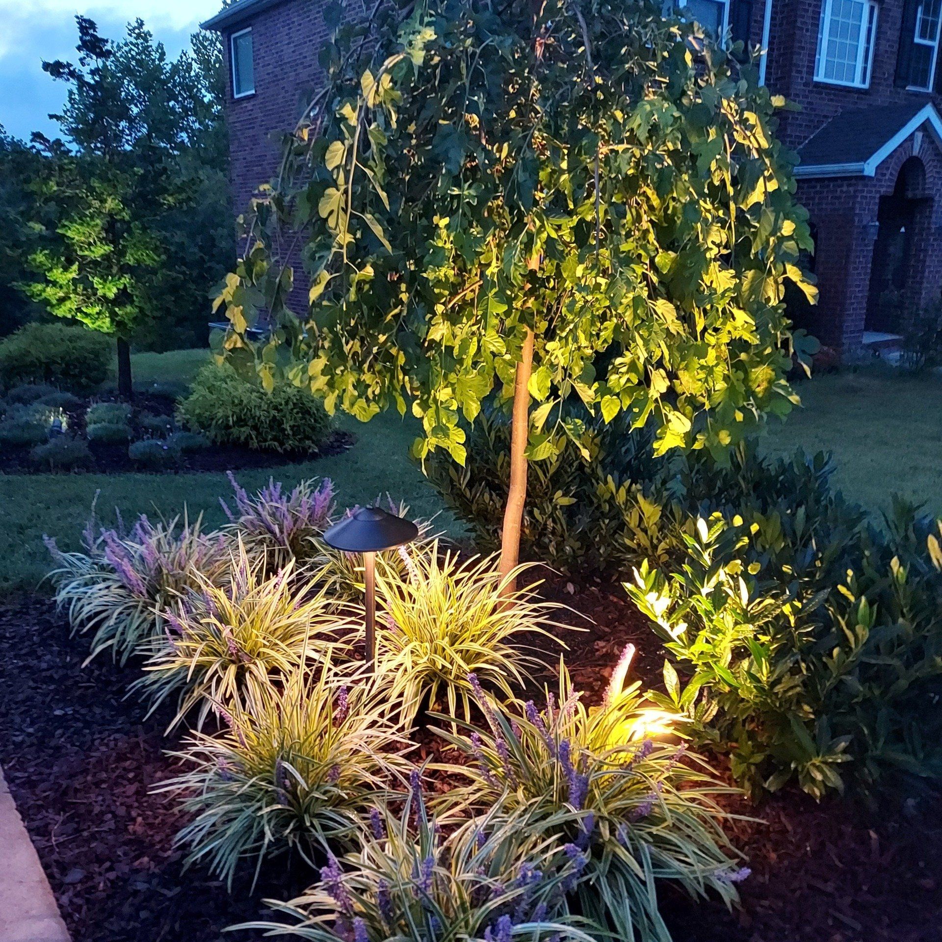 Garden lighting
