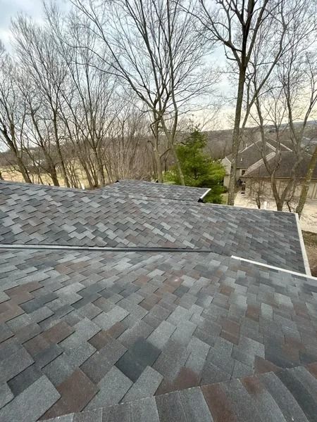 Gray shingled roof with leafless trees and a neighboring house in the background