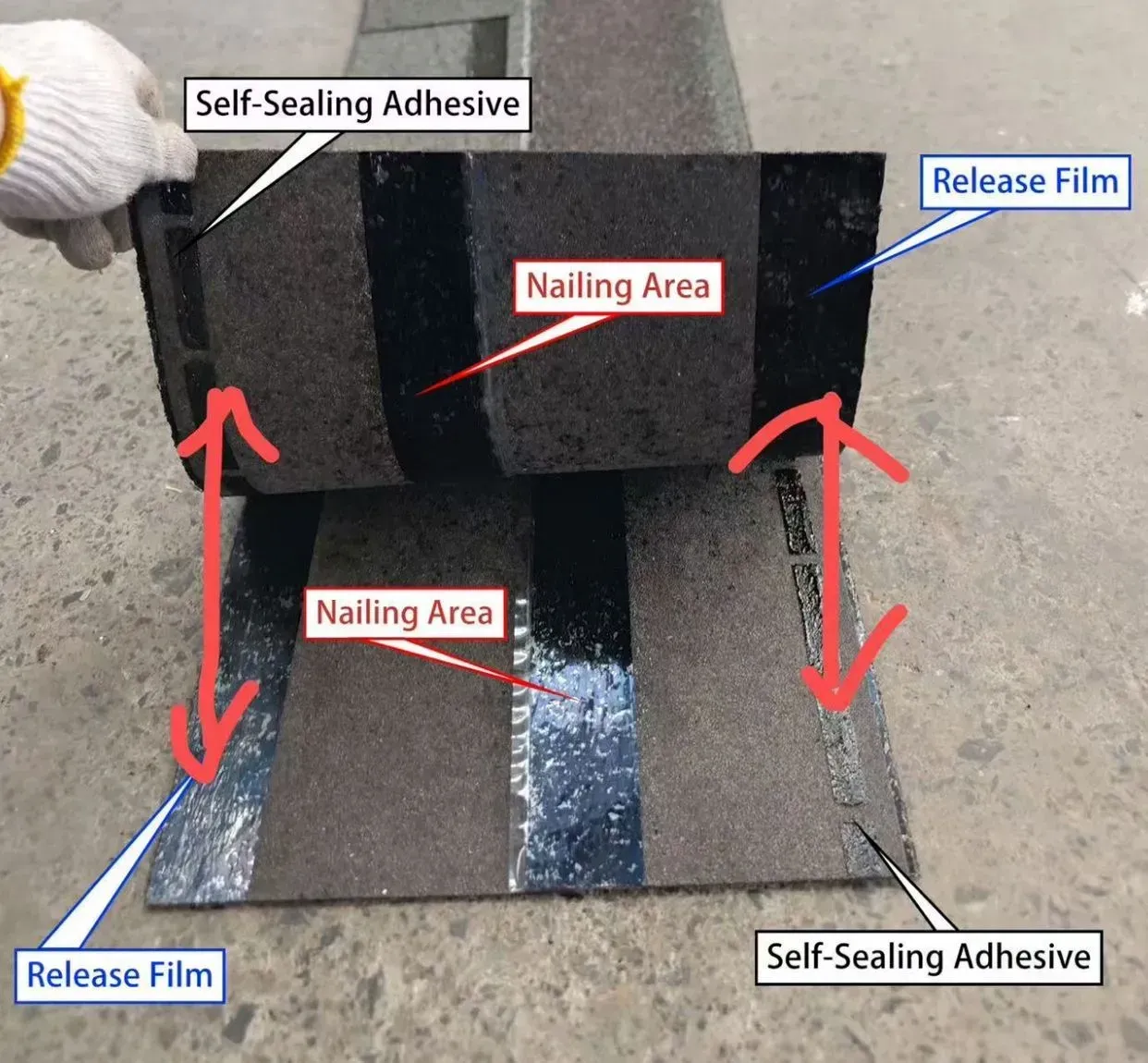 Annotated roof shingle section showing self-sealing adhesive, release film, and nailing areas with arrows