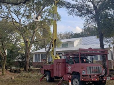 Residential Tree Service