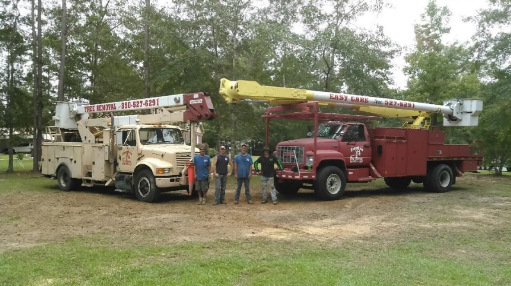 Tree Service Equipment