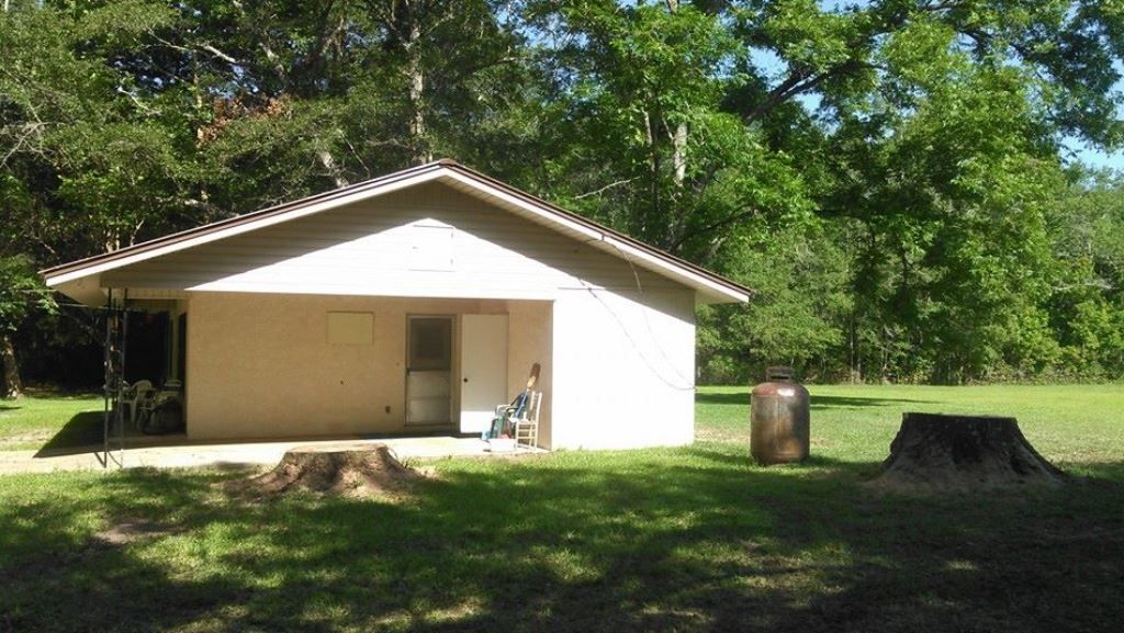 Tree Service Removal