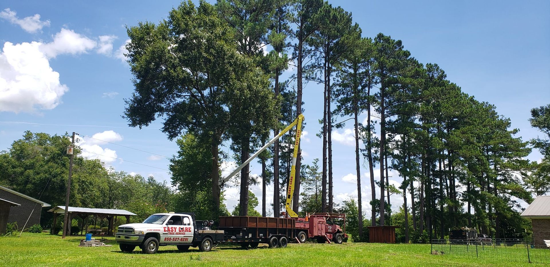 A truck is parked in a grassy field next to a large tree.
