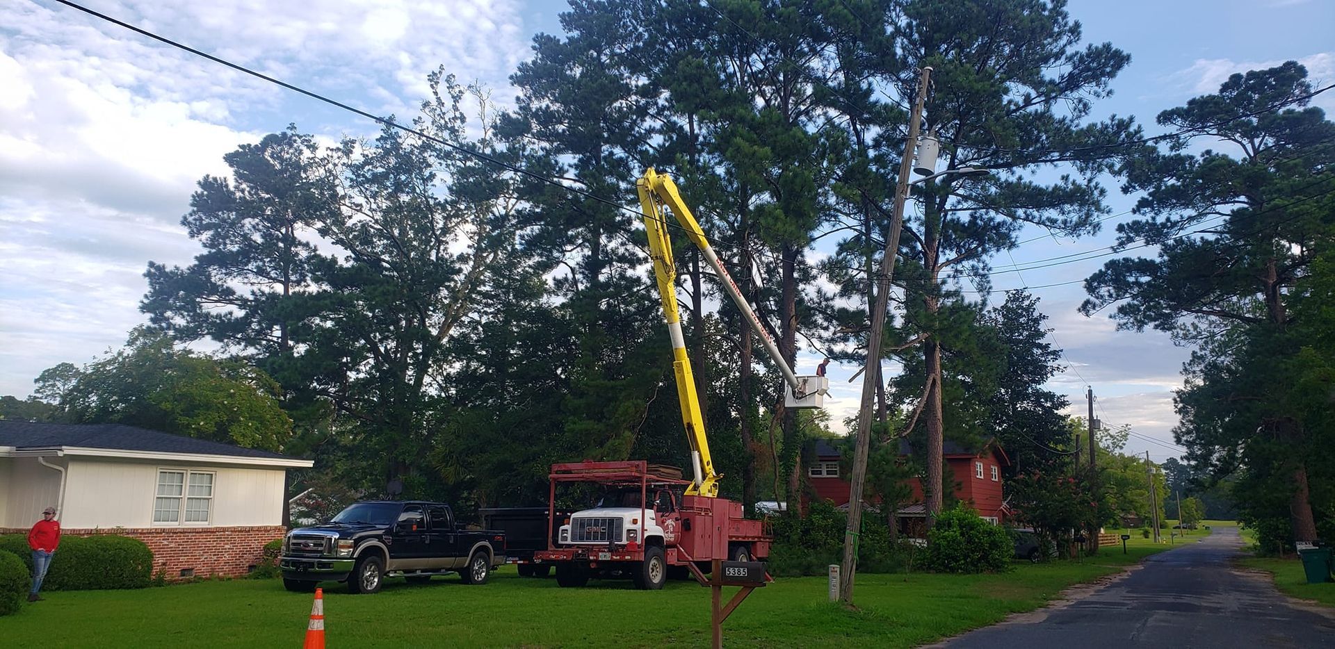 A crane is cutting a tree in the middle of a street.