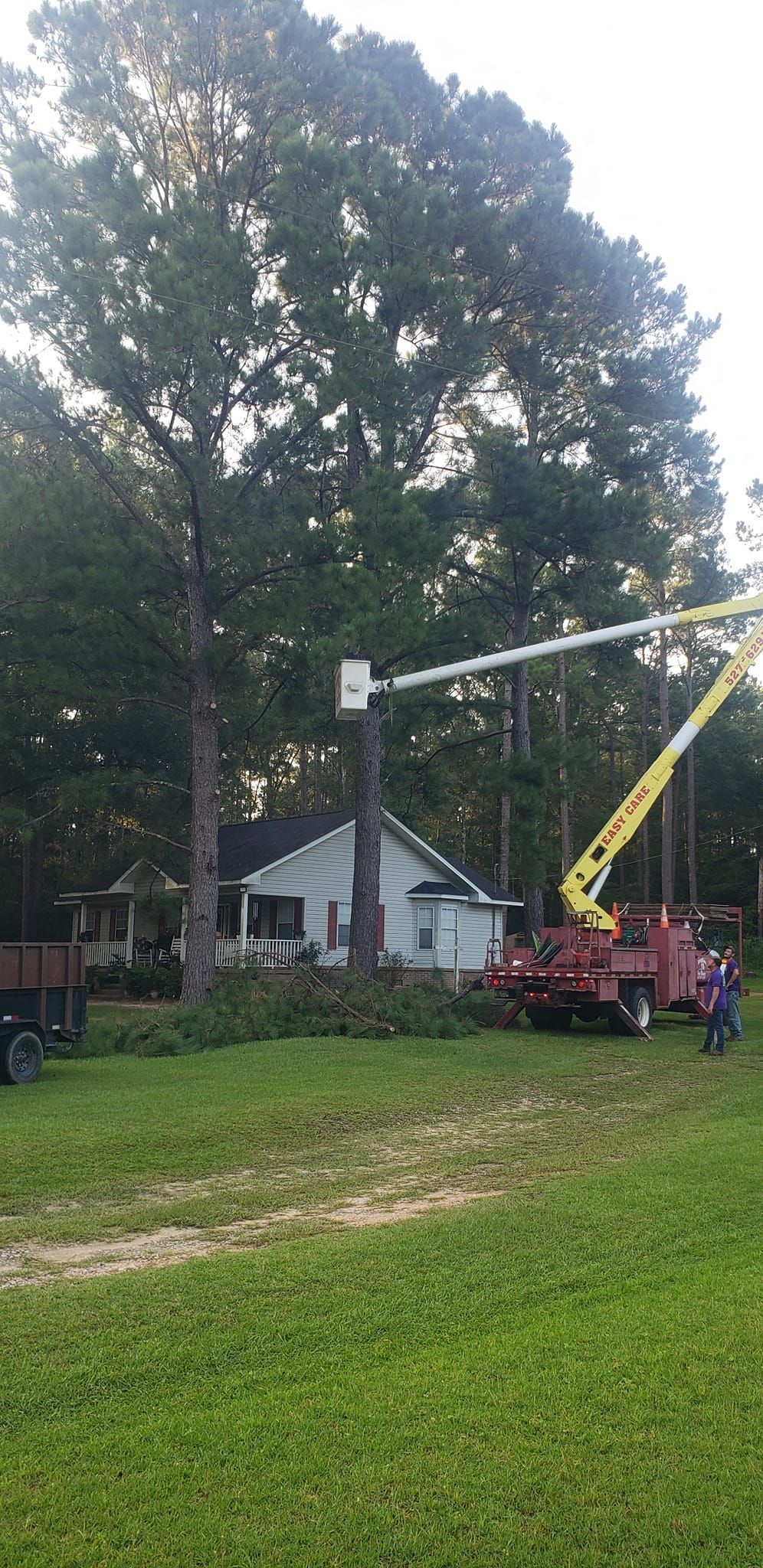 A crane is cutting a tree in front of a house.
