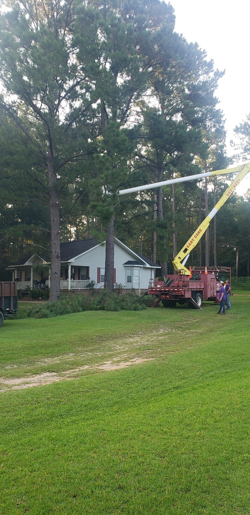 A crane is cutting a tree in front of a house.