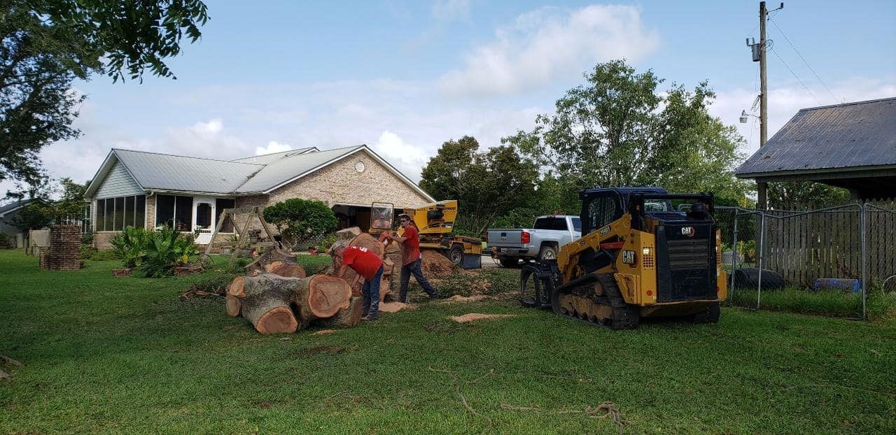 Tree Removal Service