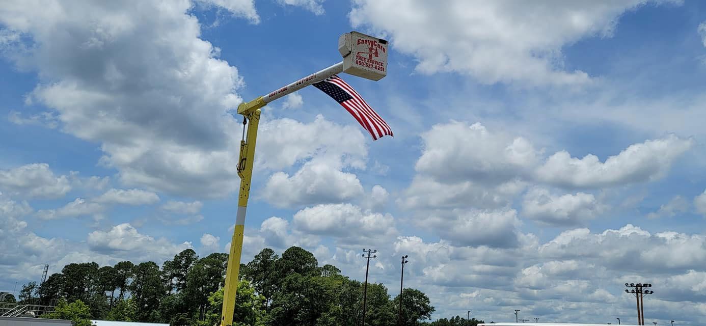 Tree Service Equipment