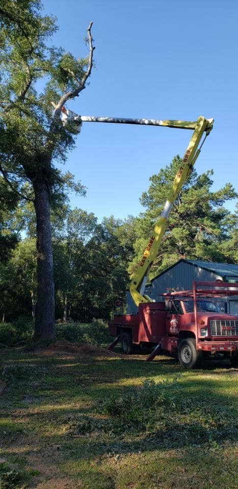 Tree Service
