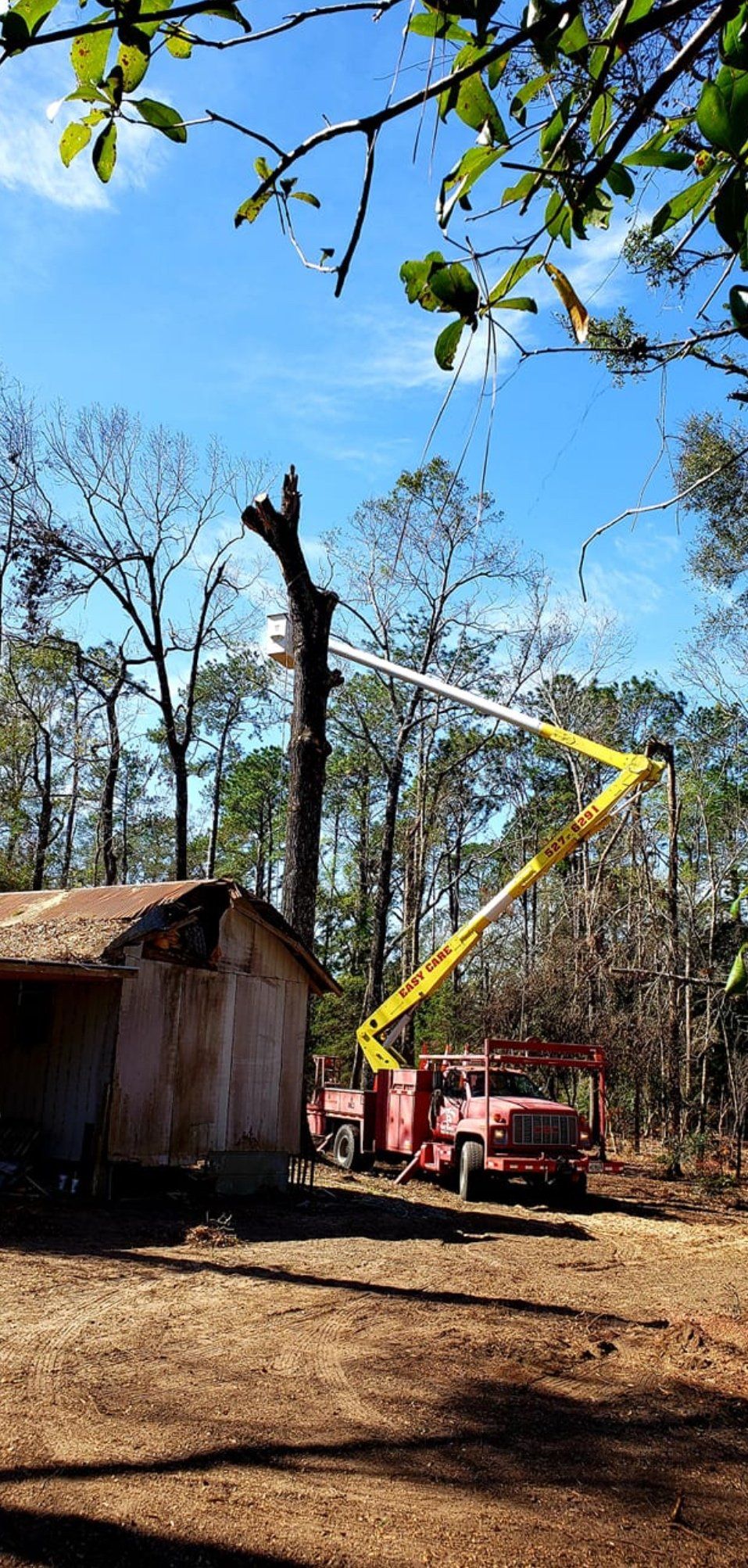 A red truck with a crane attached to it is cutting a tree.