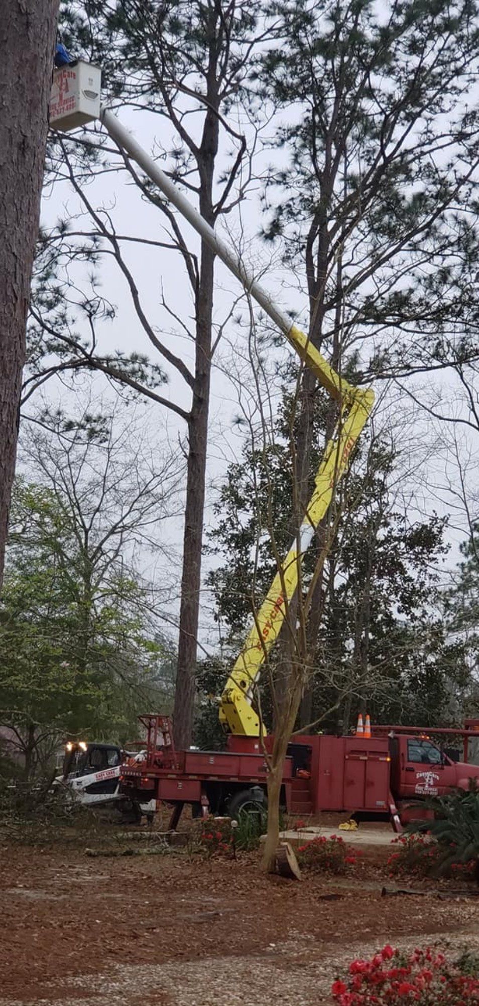 A man is cutting a tree with a crane.