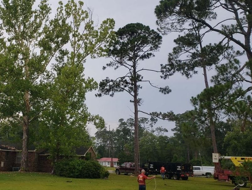 A man is standing in a field with trees in the background