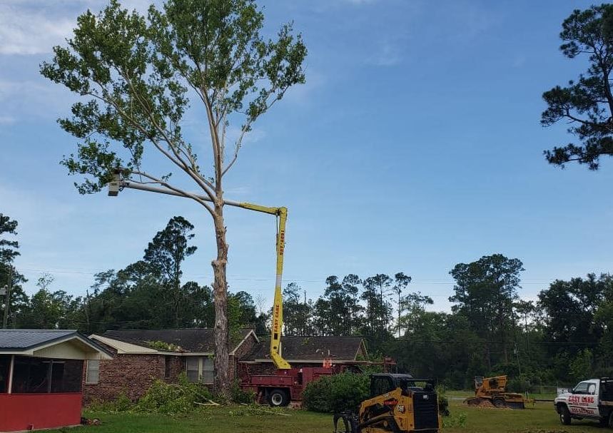 A tree is being cut down by a crane in a yard.