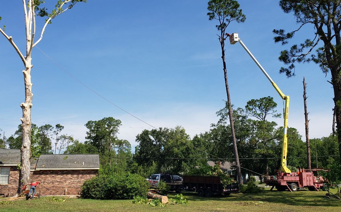 A man is cutting a tree with a crane in a yard.