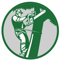 Arborist using a chainsaw on a tree, wearing a harness and ear protection, inside a green circle.