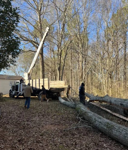 Truck with extended arm removing tree branches; workers on the ground and in truck; sunny outdoor setting.