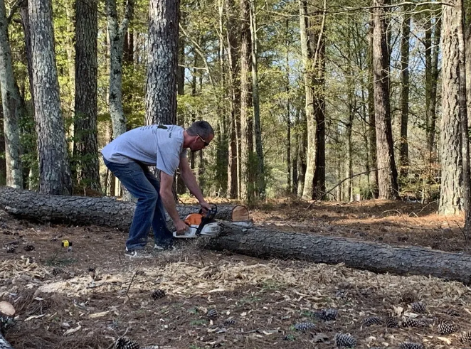 Man using chainsaw on fallen tree in a forest.