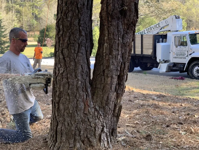 Man using a chainsaw to cut a tree trunk. Tree service truck and worker in the background.