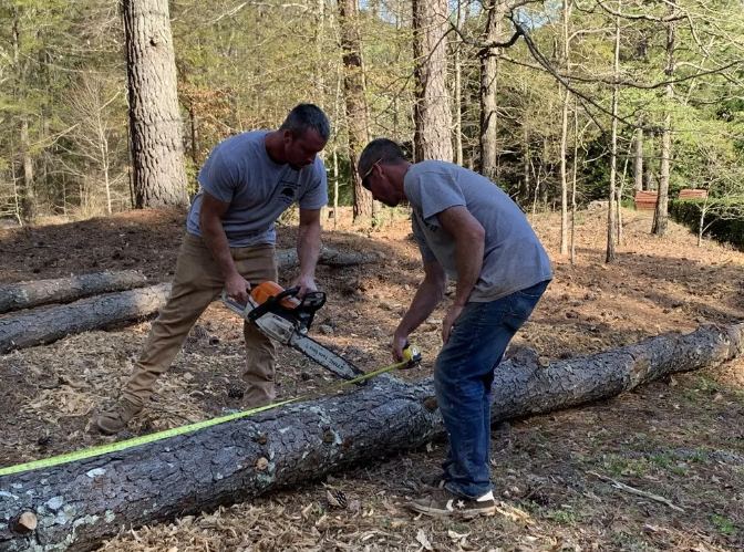 Two men measuring and cutting a log with a chainsaw outdoors in a forest.