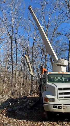 Tree trimming: A truck with a raised boom, worker cutting tree branches under a blue sky.