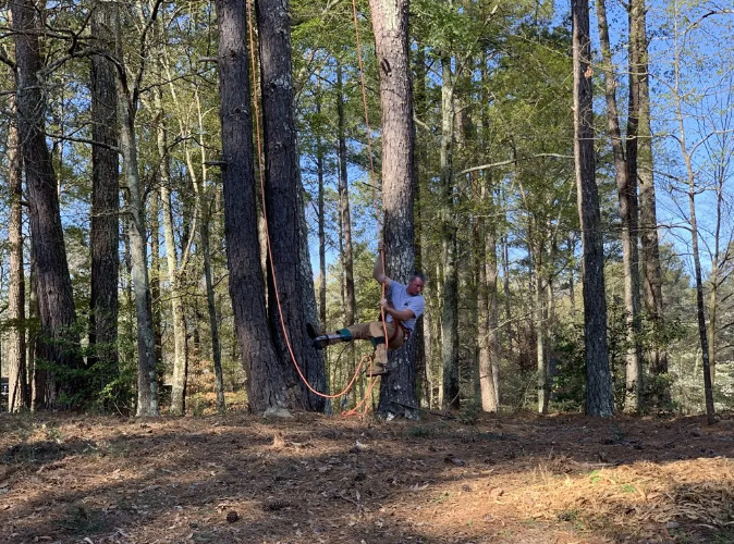 Man climbing a rope swing on a tree in a forest.