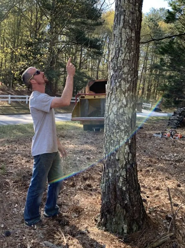 Man in sunglasses pointing up at a tree trunk in a sunny outdoor setting.