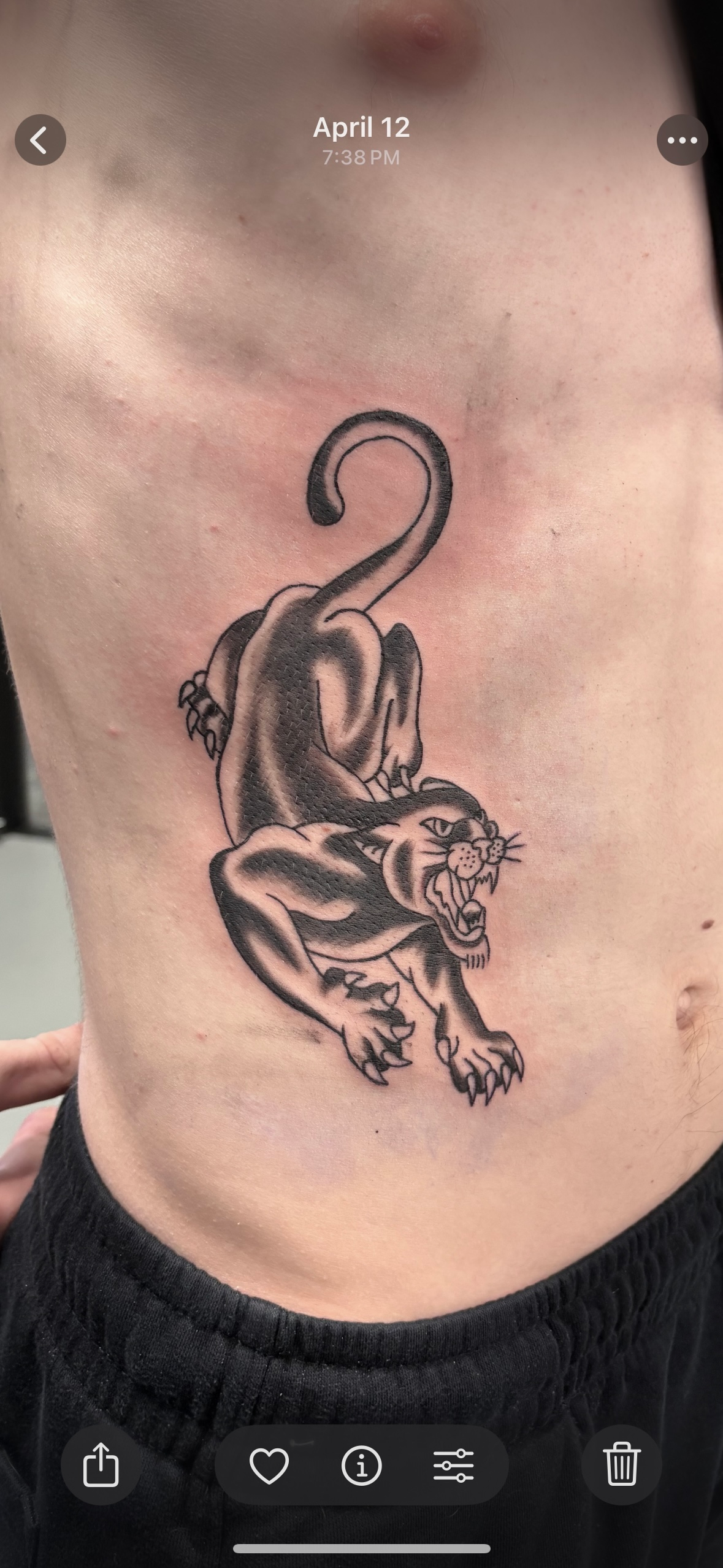 A black and white tattoo of a panther on a person 's chest.