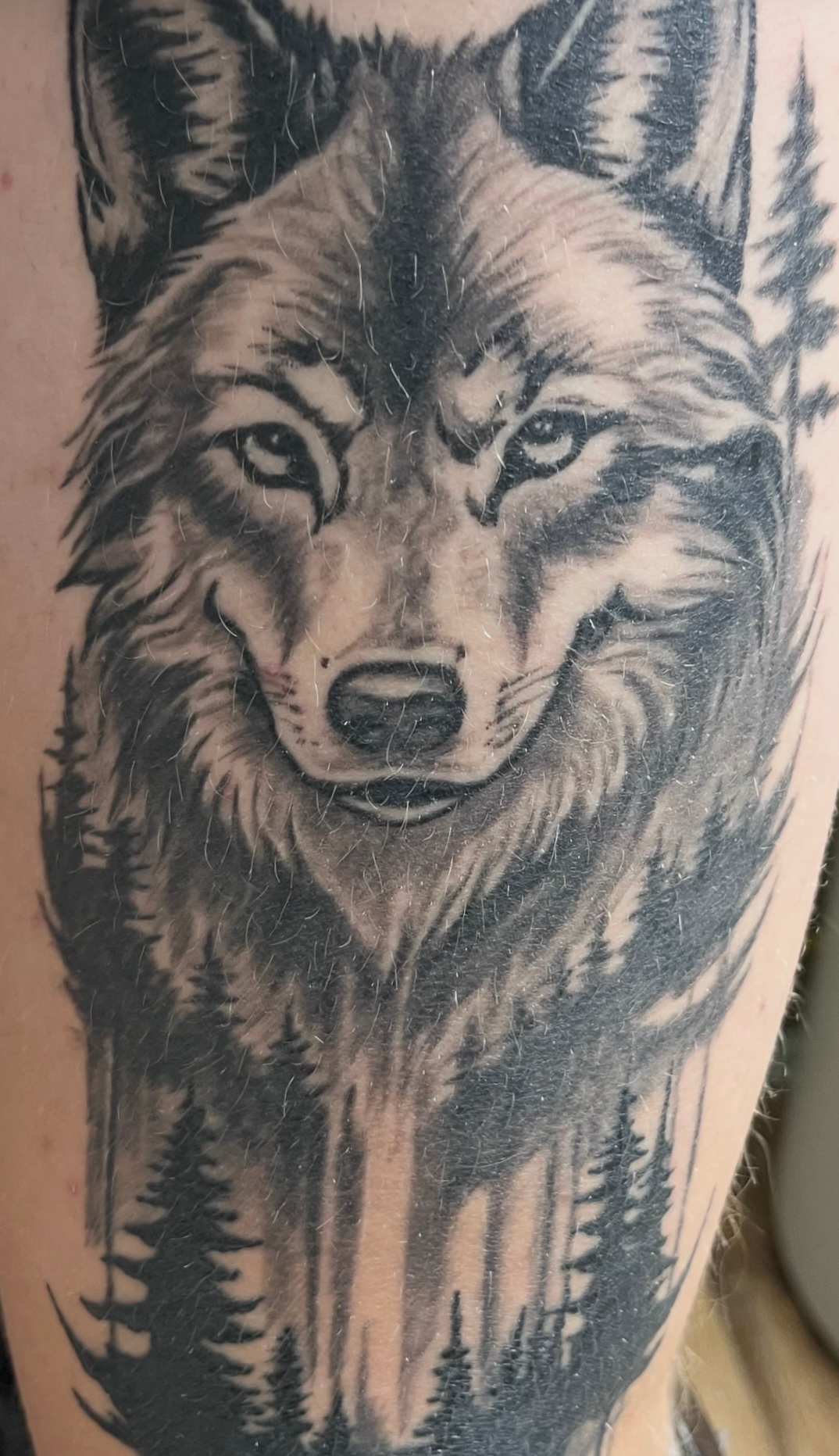 A close up of a tattoo of a wolf on a person 's leg.