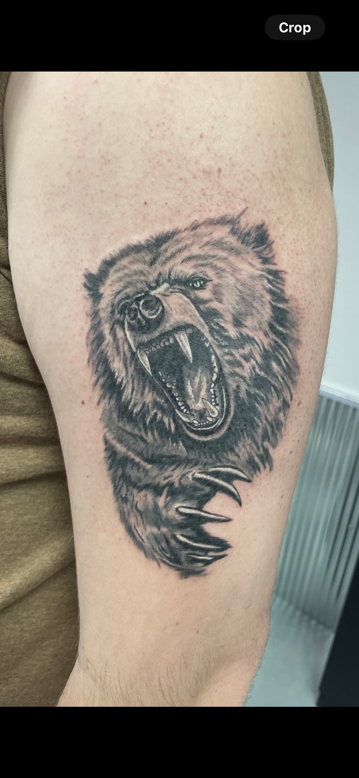 A person has a tattoo of a bear on their arm.