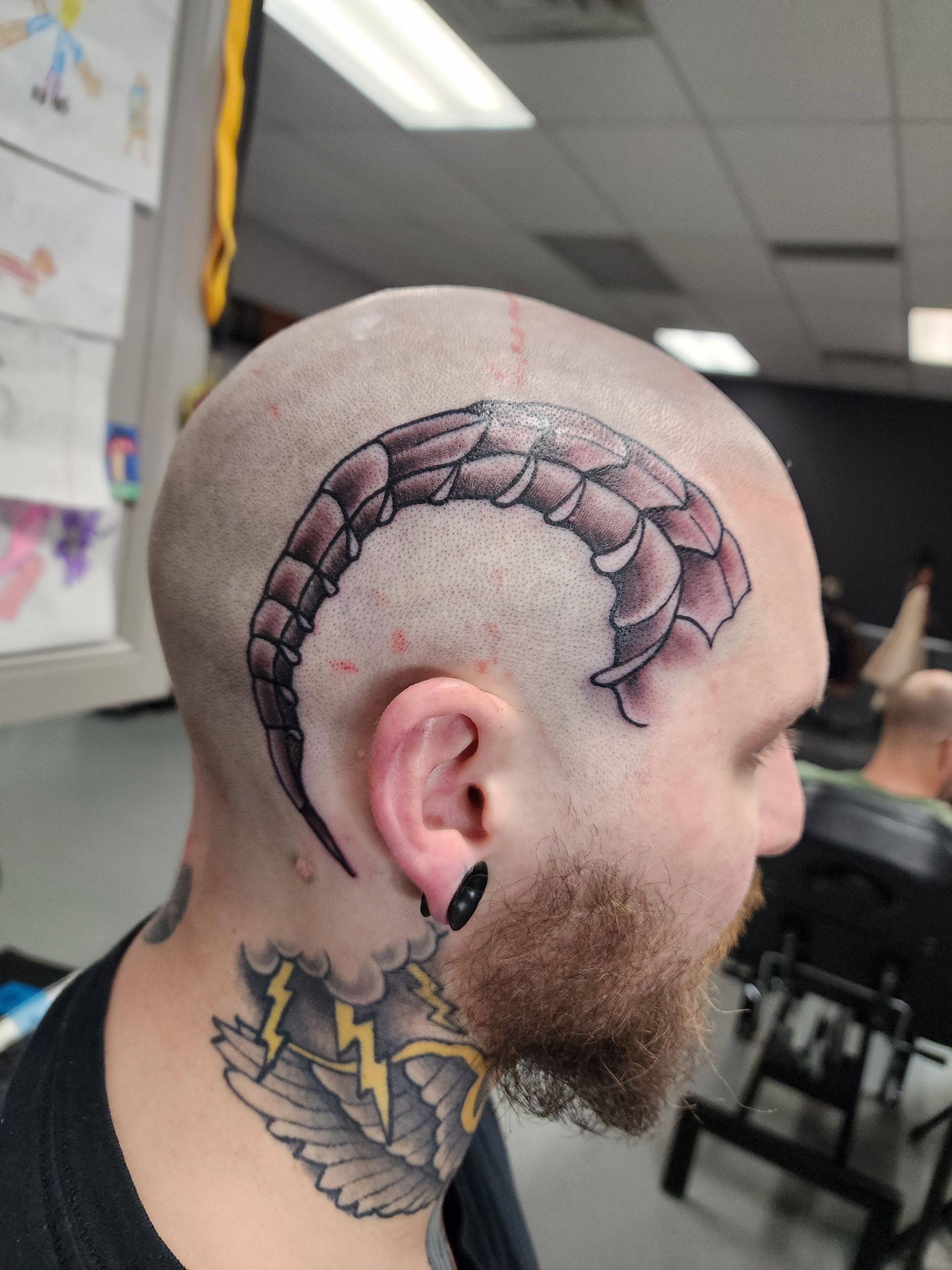 Tattoo of a segmented horn on a shaved head. The person has ear gauges and a neck tattoo.