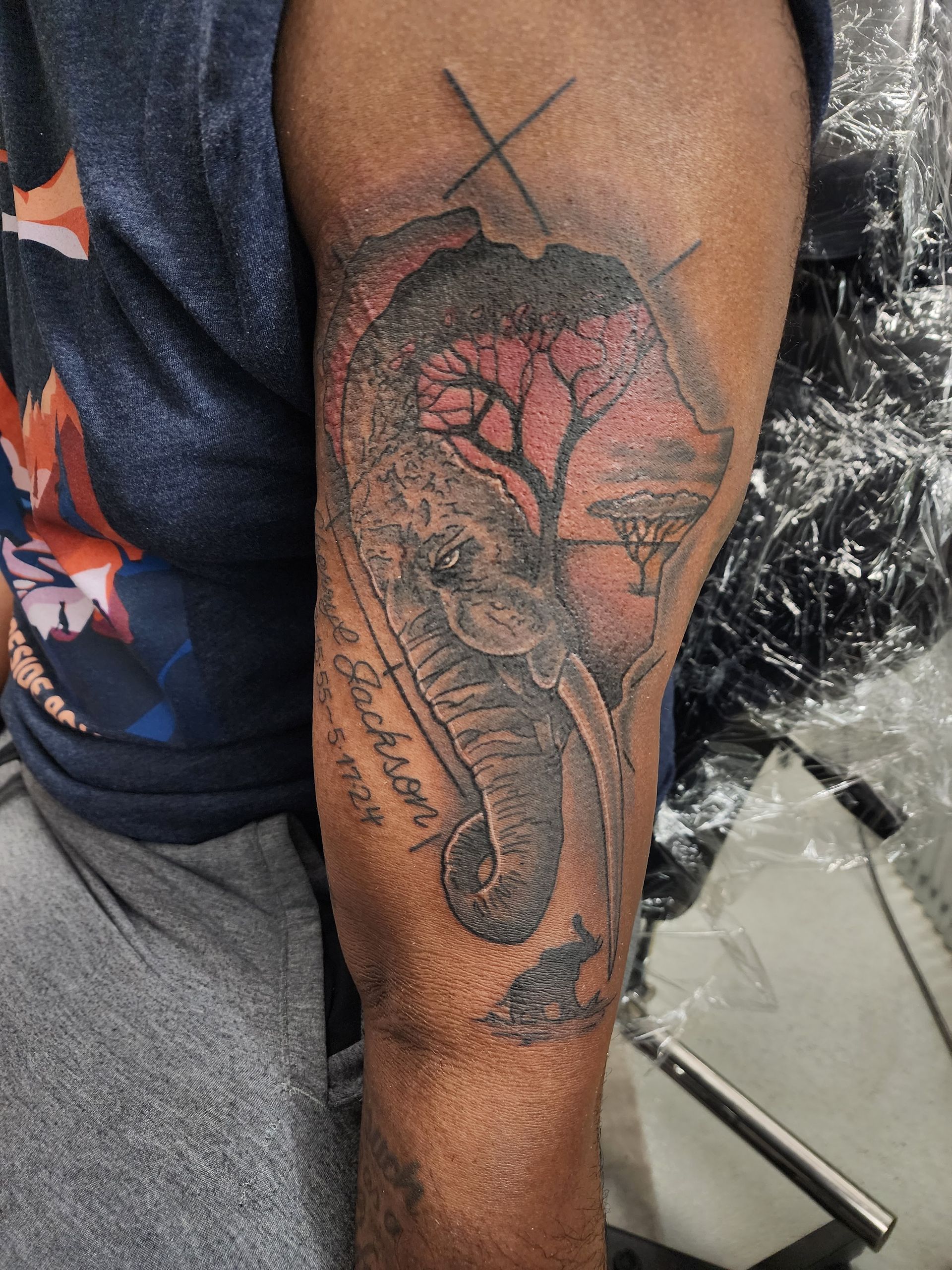 Tattoo of an elephant's head with a tree inside, on an arm. Gray and red ink.