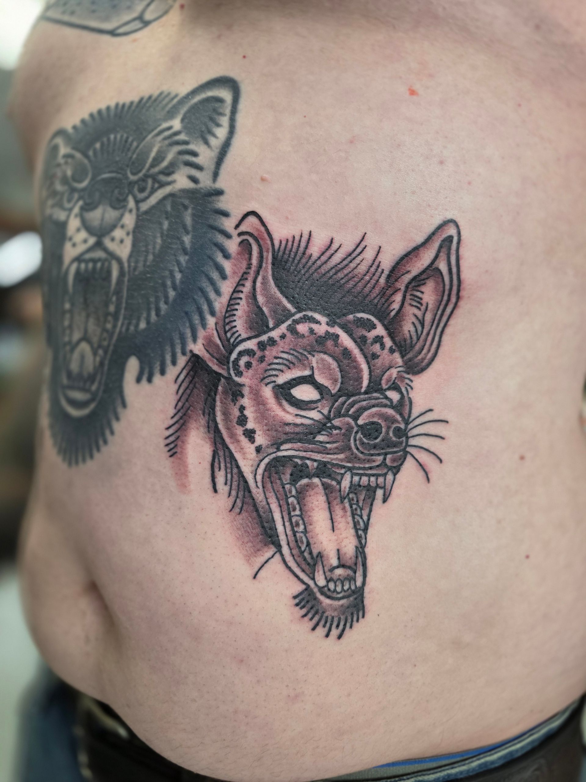 Tattoo of a snarling hyena with open mouth on a person's torso. A wolf tattoo is also visible nearby.