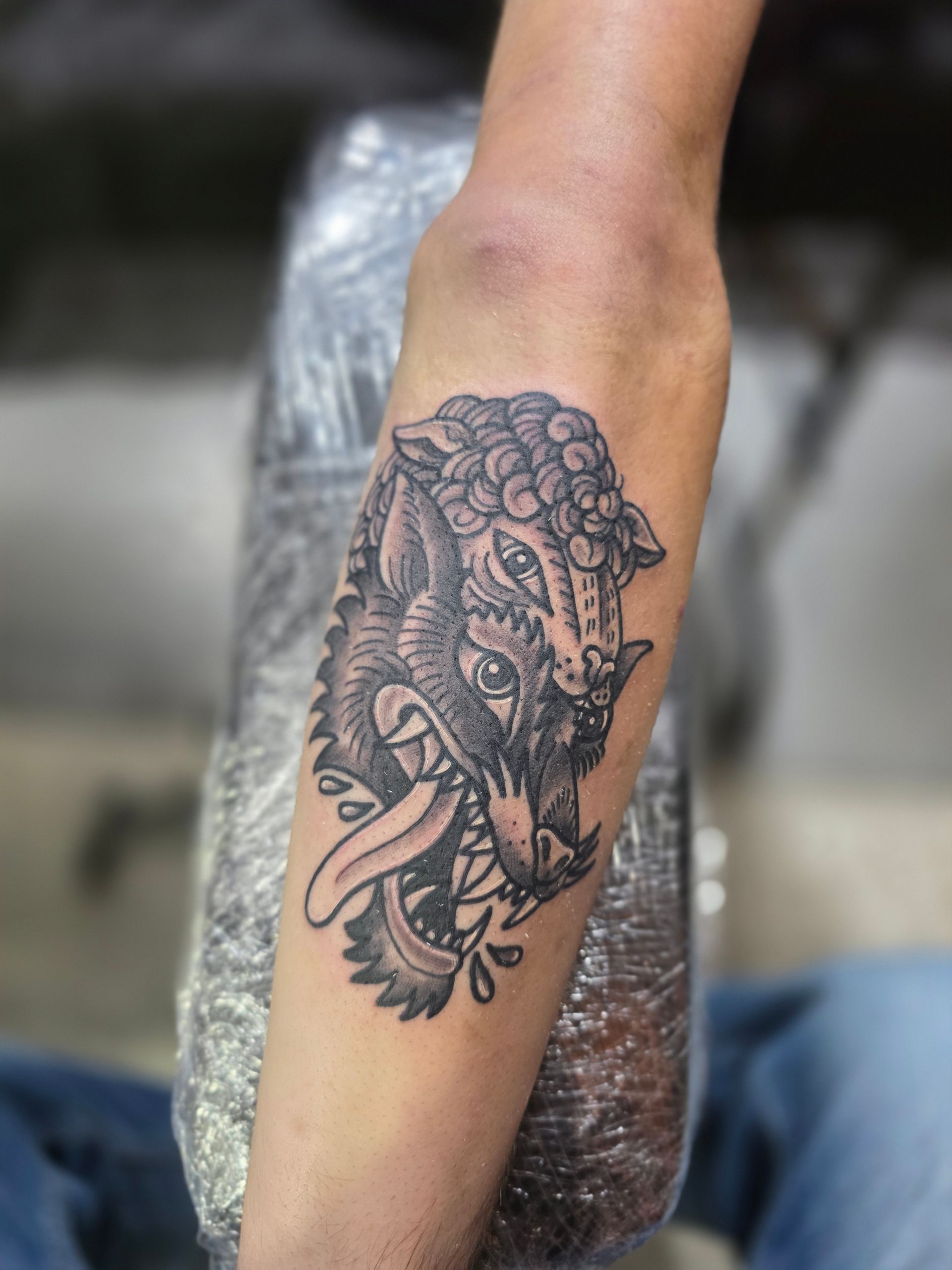 Tattoo of a wolf wearing a sheep's head, baring teeth and sticking out tongue on an arm.