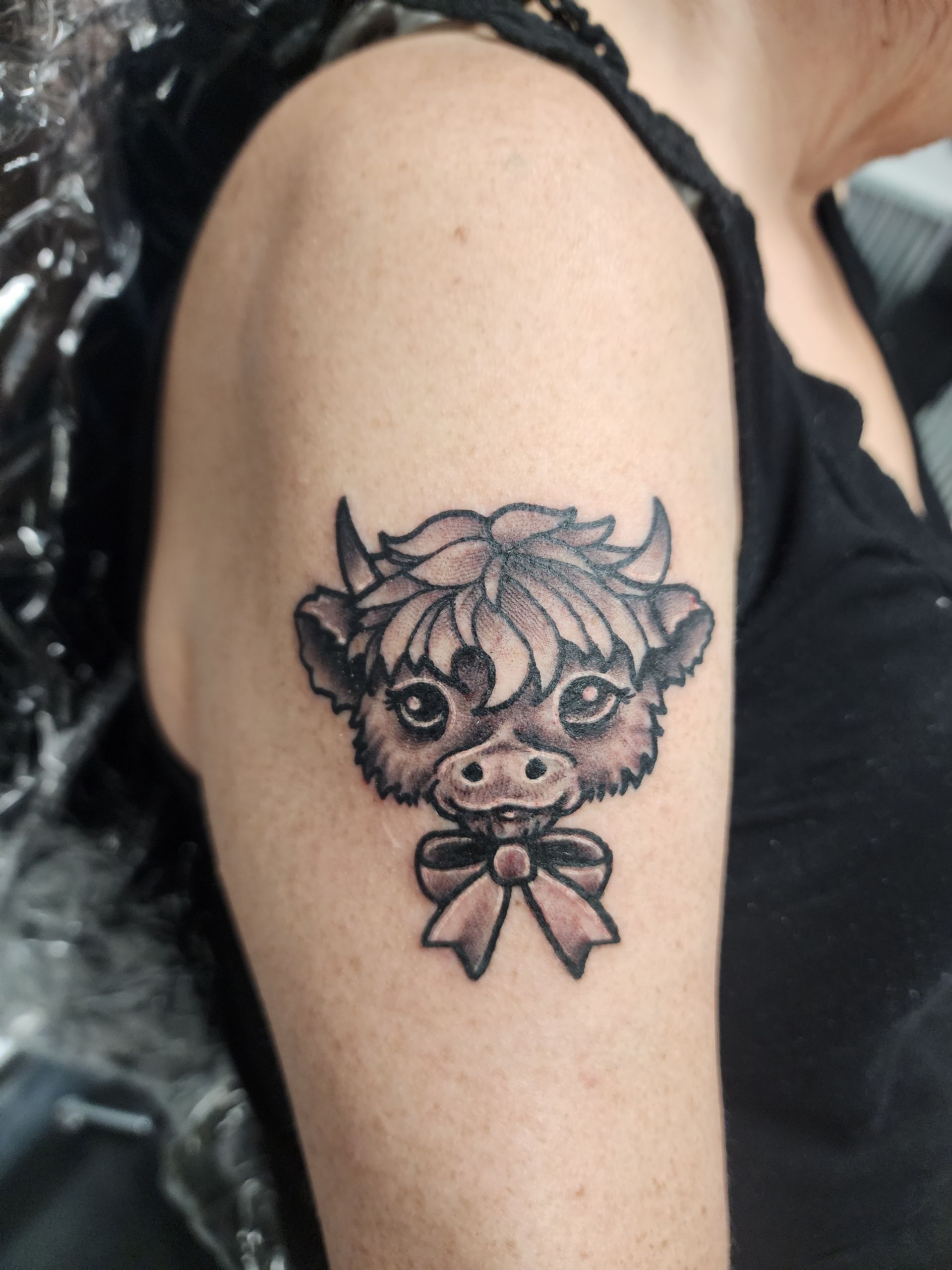 Tattoo of a black and gray cartoon Highland cow head with a bow on a person's upper arm.
