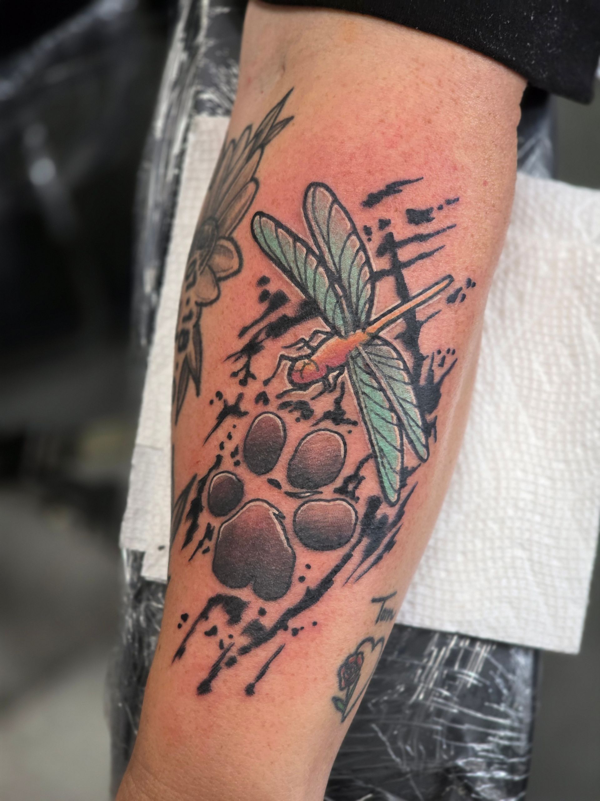 Tattoo of a dragonfly above a dog paw print, with black splatter design. Green and orange.