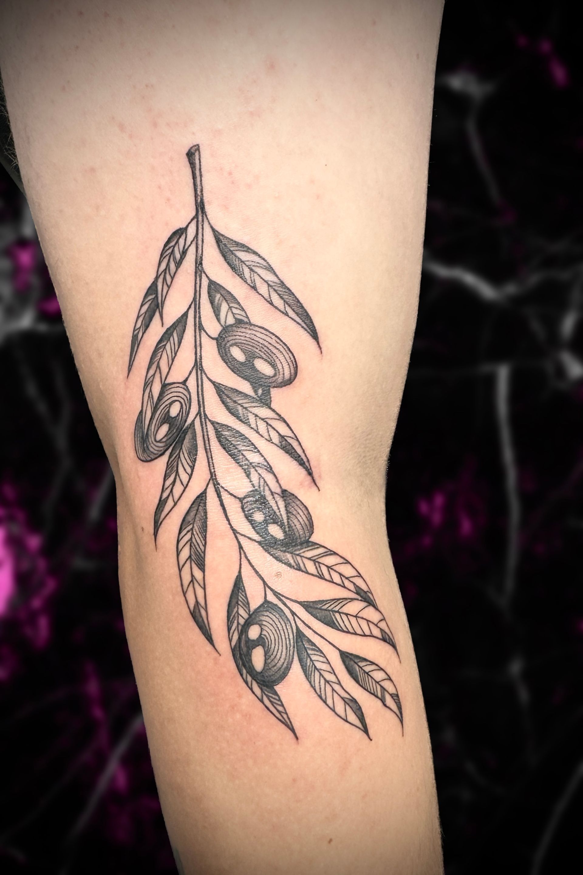 Tattoo of an olive branch on an arm. Black and white ink, with leaves and olives.