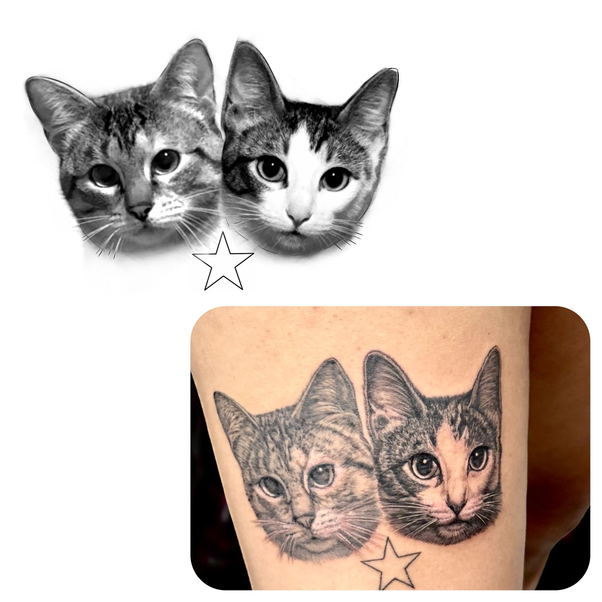 Black and white cat faces, above a tattoo of the same cats on skin.