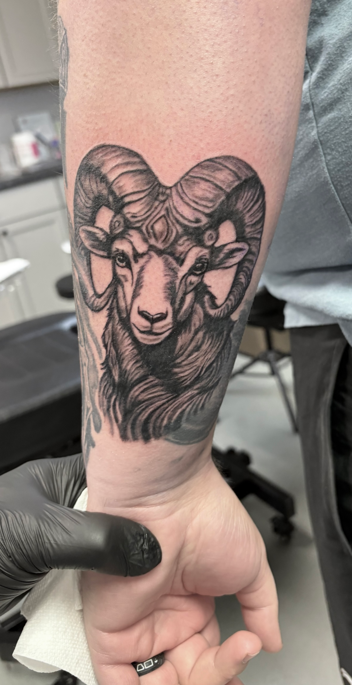 A person has a tattoo of a ram on their forearm.
