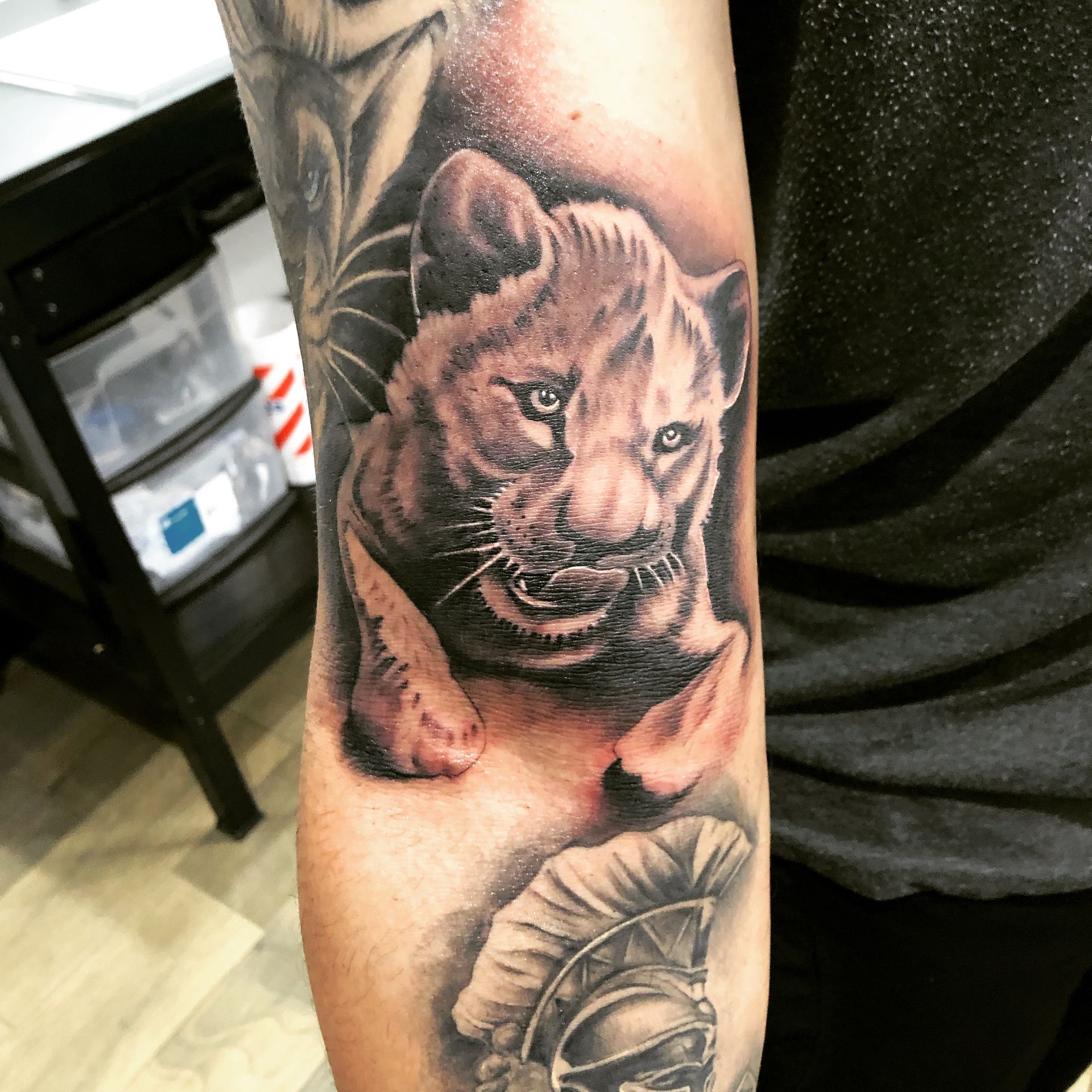 Tattoo on arm of a lion cub emerging with intense gaze and a Roman helmet at the bottom.