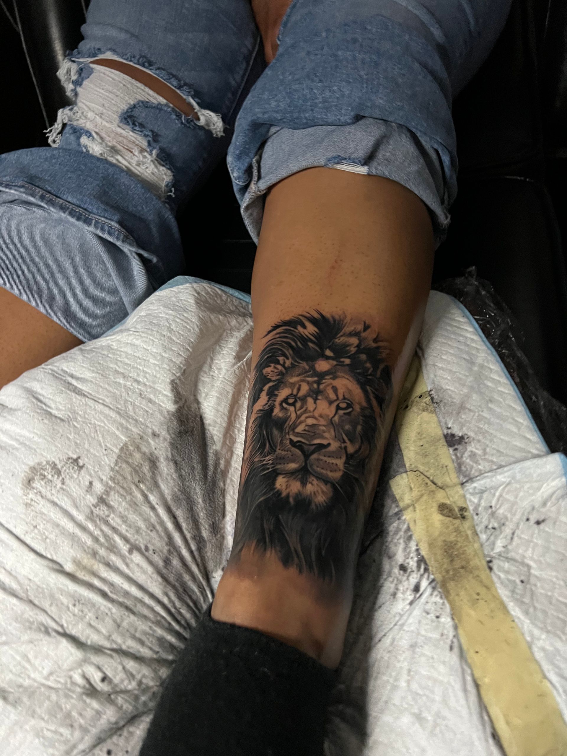 Lion tattoo on a leg, black ink, with torn jeans.