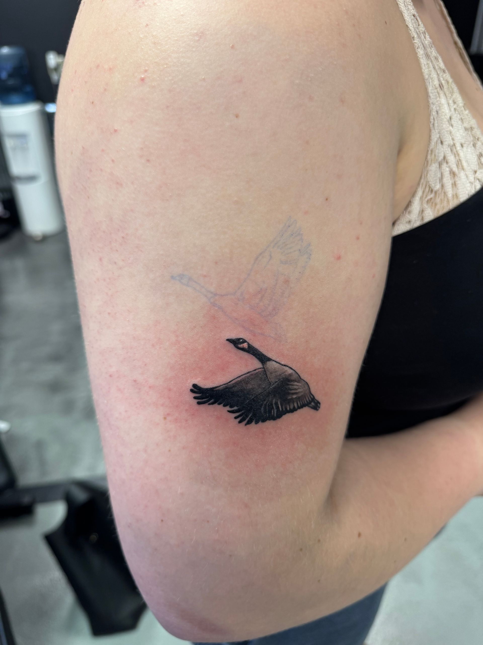 Tattoo of a black bird in flight on a woman's arm. Redness around the tattoo.
