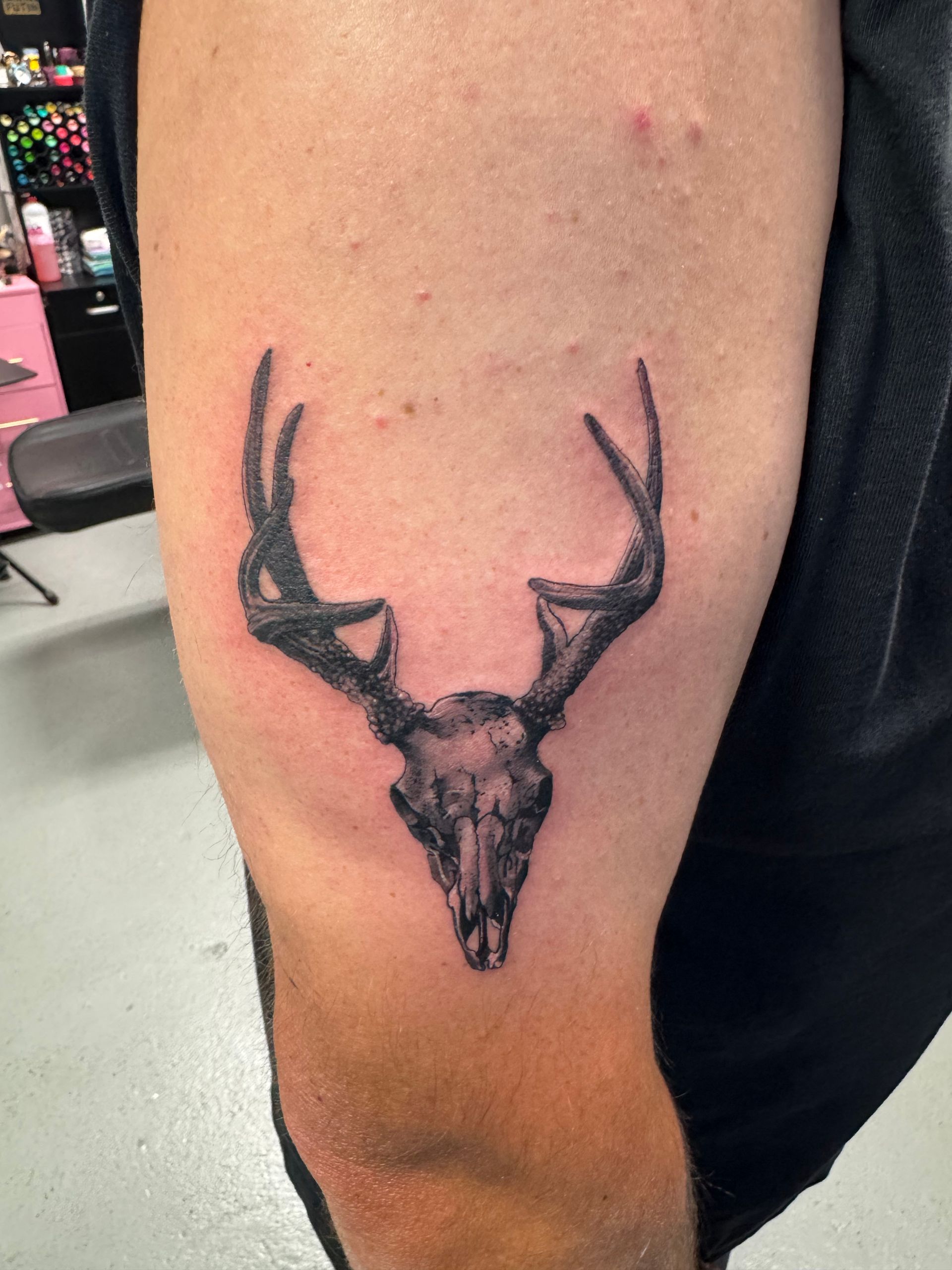 Black deer skull tattoo on a person's arm, set in a tattoo parlor.