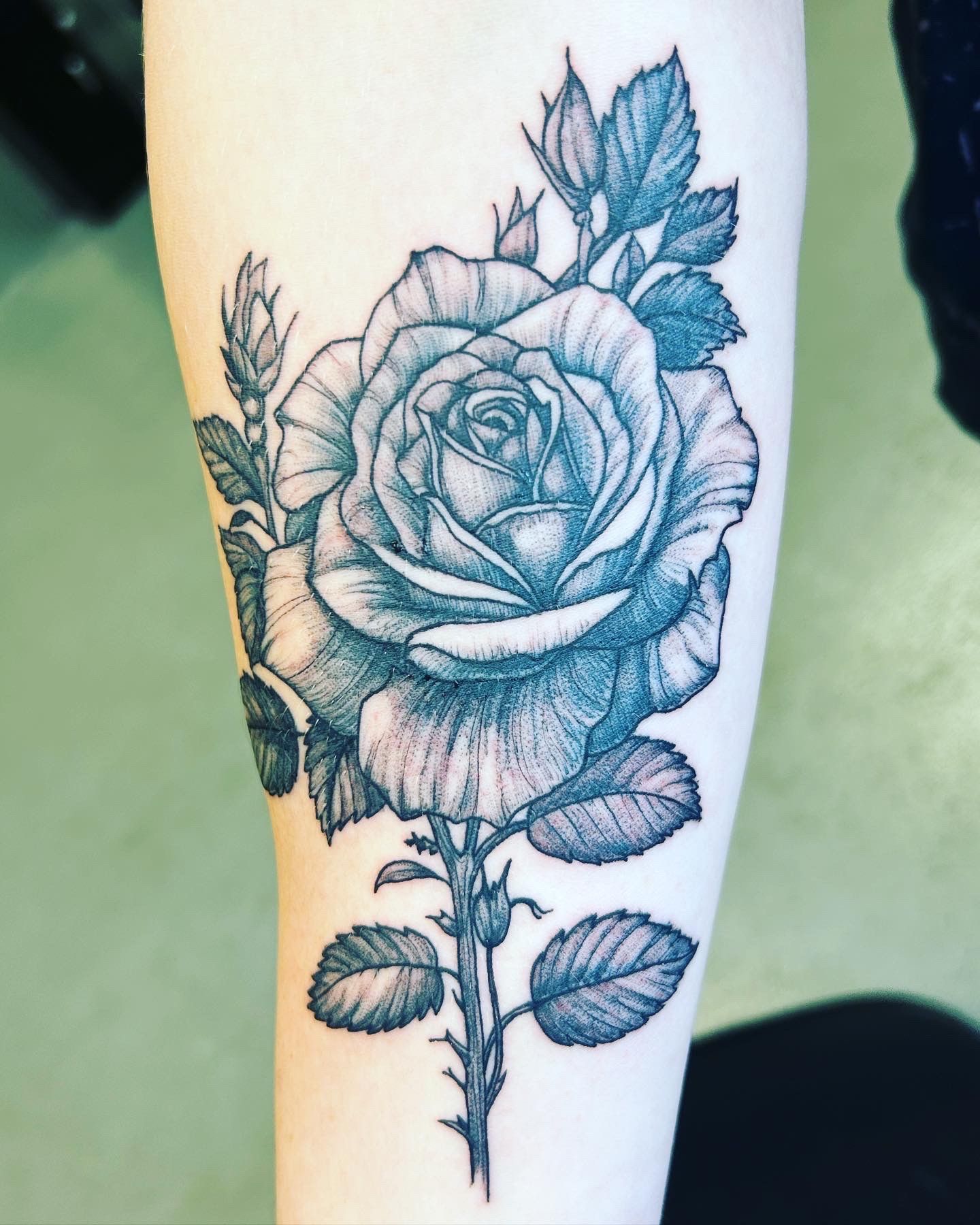 A person has a tattoo of a rose on their forearm.