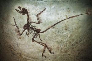 Ancient cave painting of a flying bird-like creature with long limbs on a rocky surface