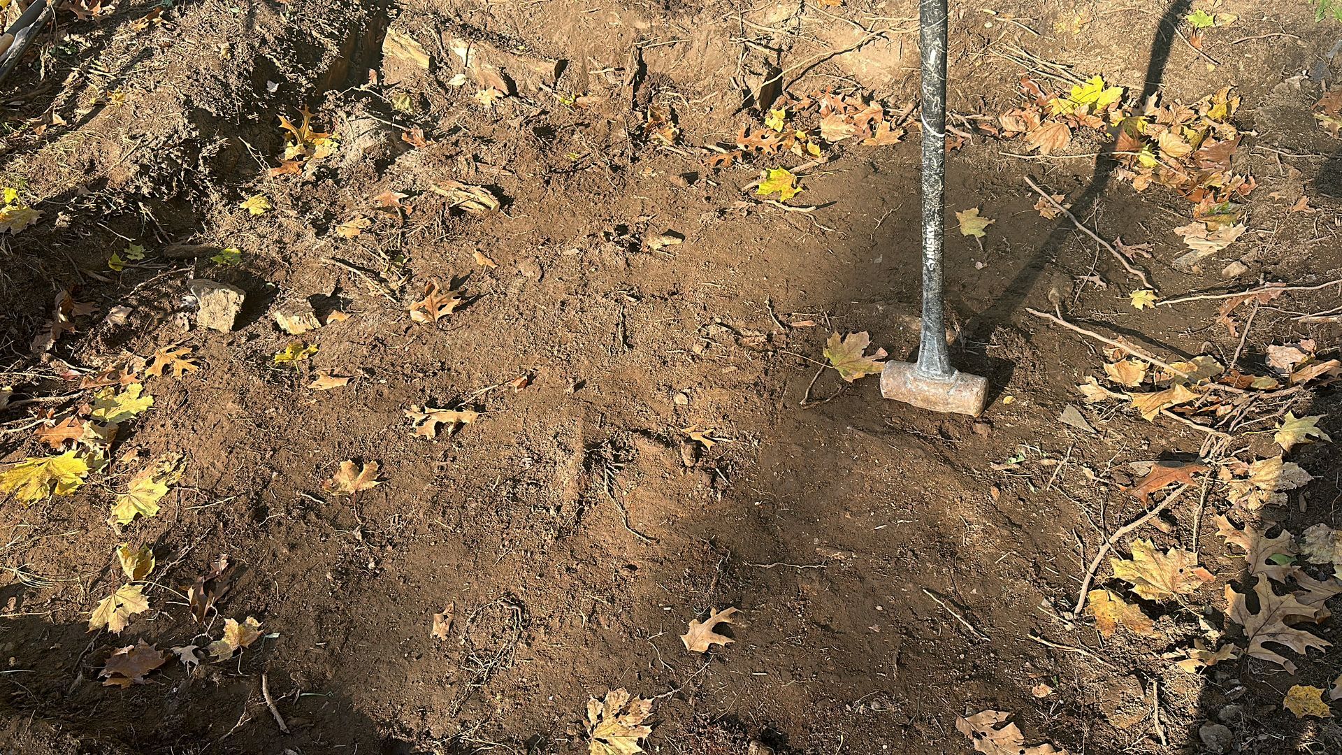 Metal garden rake clearing dirt and leaves in a wooded yard