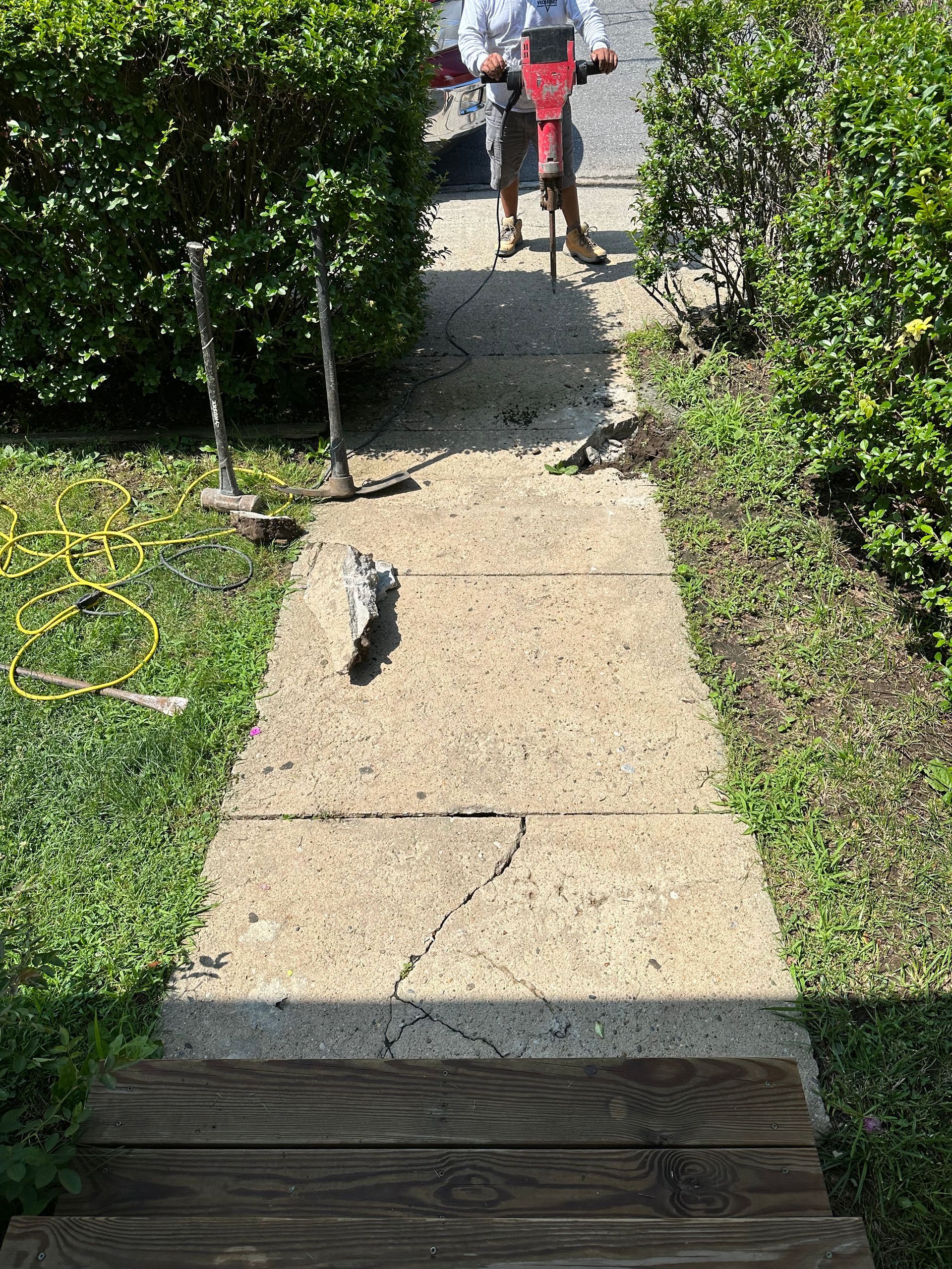 Small black cat on a concrete garden path; a person stands near the top by the bushes.